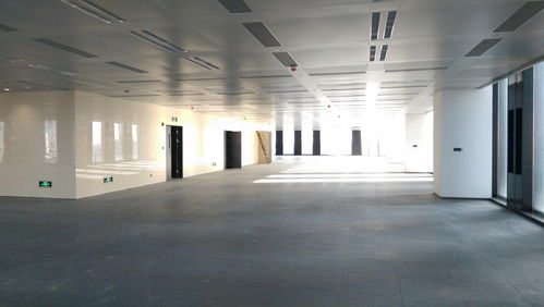 鲁能国际中心租赁中心 鲁能国际中心招商中心 鲁能国际中心物业电话