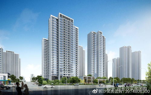 如何底价入手招商华发 依云曦城