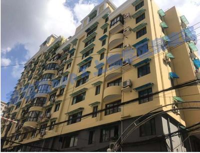 明明是快乐教育,偏偏盛产学霸!上外黄浦小学评测