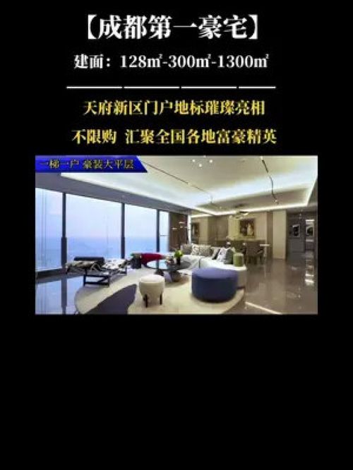 顶级高端物业开发商 全球化团队打造稀缺产品，新区门户的生态理想居所