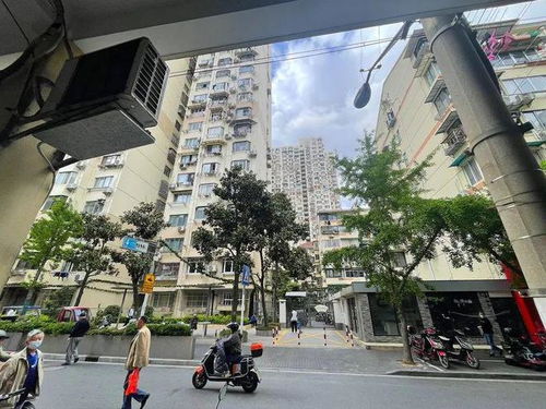 上海骑楼住宅 市中心300米小马路改造中的烟火气守护