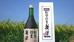 世博威·第二届中国国际酵素产品展带您认识正牌酵素