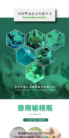 世博猪用输精瓶 高效人工受精的关键工具